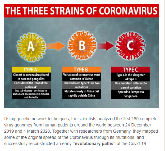 corona virus type a b c