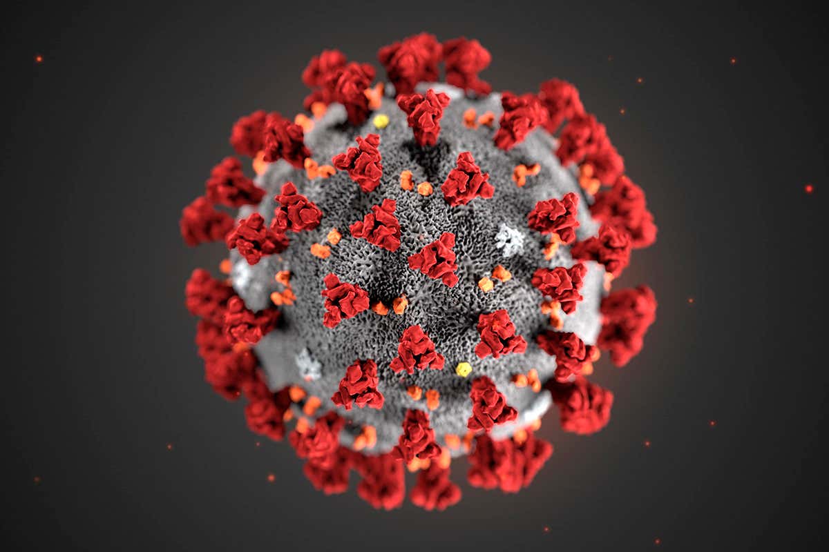 corona virus